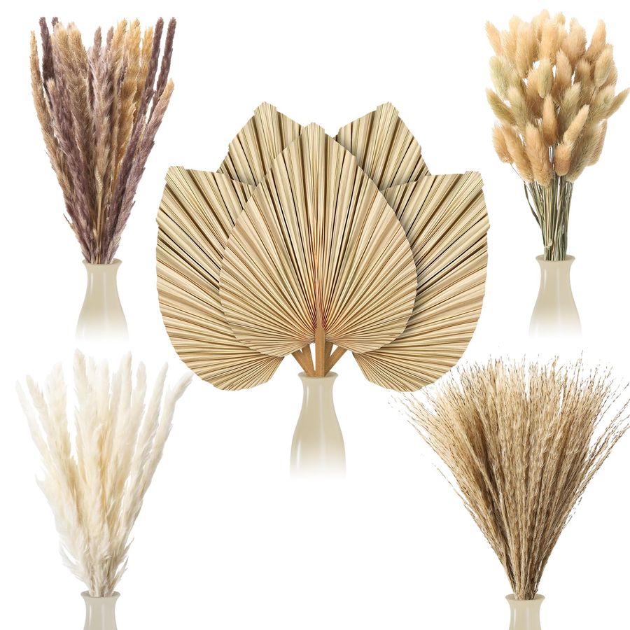 Palm Leaf Dried - Pcs Boho Dried Pampas Grass Decor