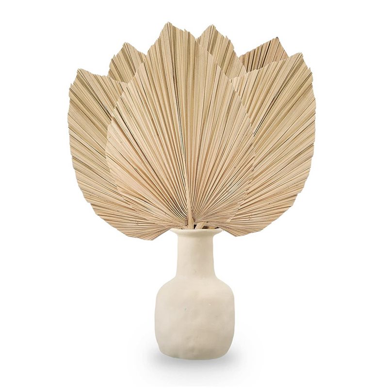 24PCS Dried Palm Leaves Natura – обзор и цена Palm Leaf Dried