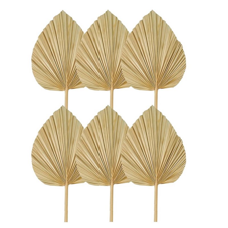 24PCS Dried Palm Leaves Natura – обзор и цена Palm Leaf Dried