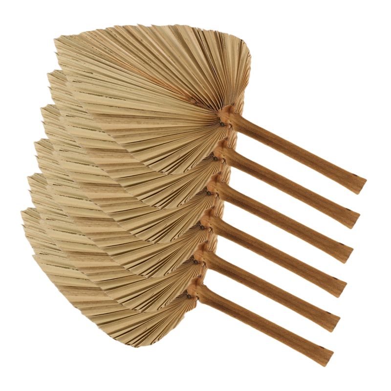 6PCS Dried Palm Leaves Natural – обзор и цена Palm Leaf Dried