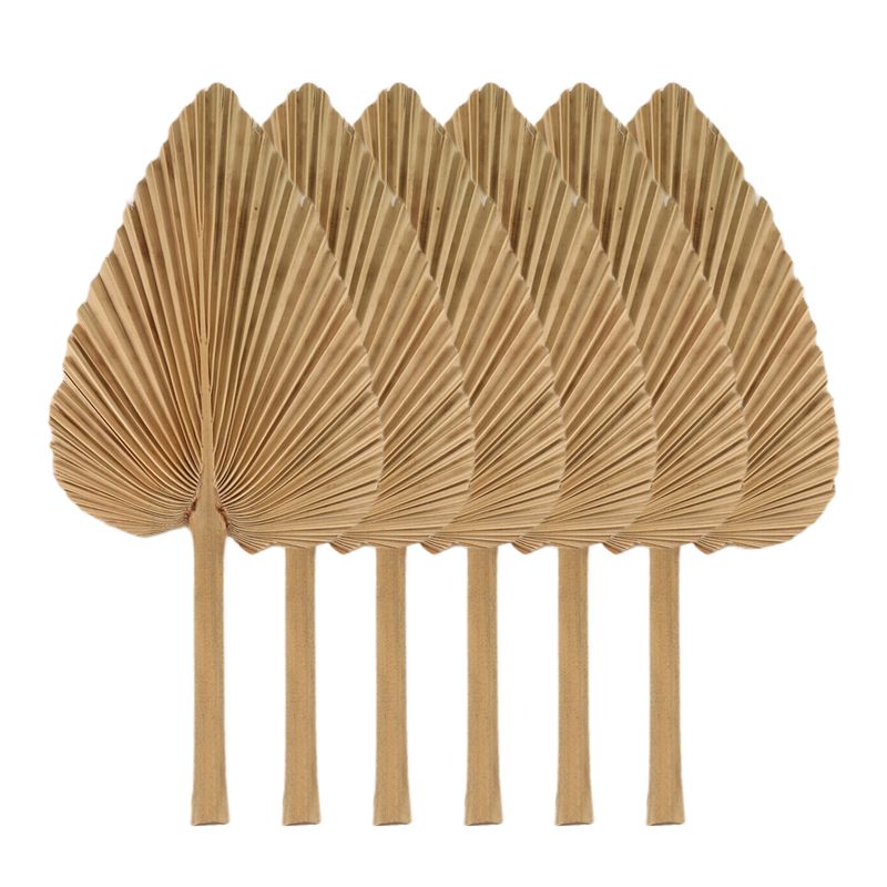 6PCS Dried Palm Leaves Natural – обзор и цена Palm Leaf Dried