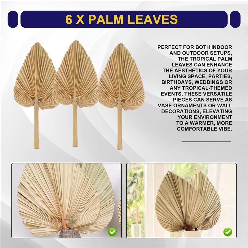 AT84-6PCS Dried Palm Leaves Na – обзор и цена Palm Leaf Dried