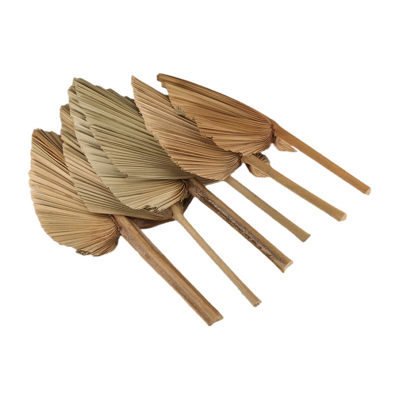 AT84-6PCS Dried Palm Leaves Na – обзор и цена Palm Leaf Dried