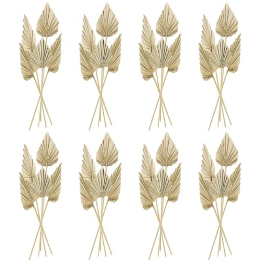 Cenkaiyang 40 Pcs Boho Dried P – обзор и цена Palm Leaf Dried