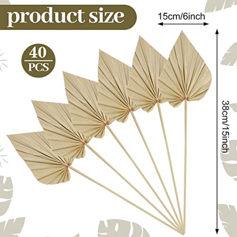 Cenkaiyang 40 Pcs Boho Dried P – обзор и цена Palm Leaf Dried