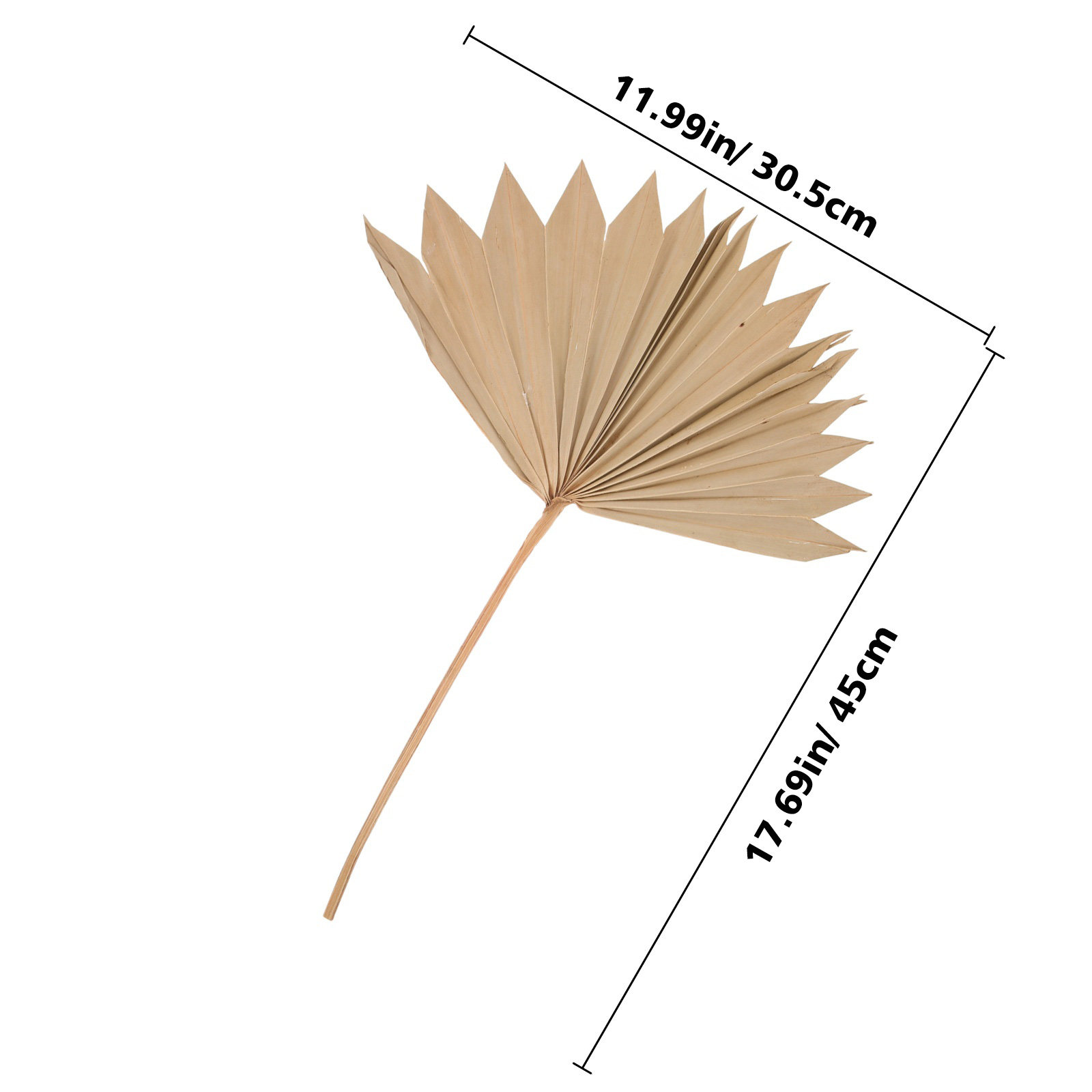 4Pcs Natural Dried Palm Leaf F – обзор и цена Palm Leaf Dried
