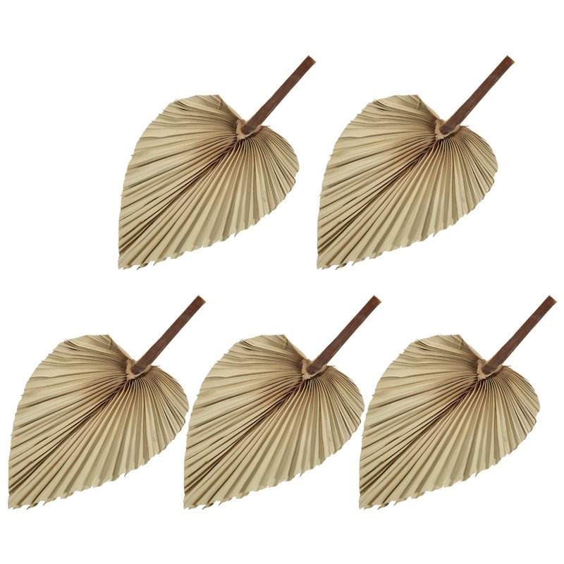 SEWS-5Pcs Natural Dried Palm L – обзор и цена Palm Leaf Dried