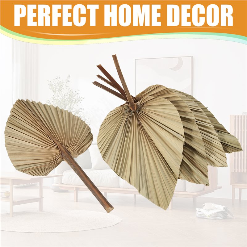SEWS-5Pcs Natural Dried Palm L – обзор и цена Palm Leaf Dried