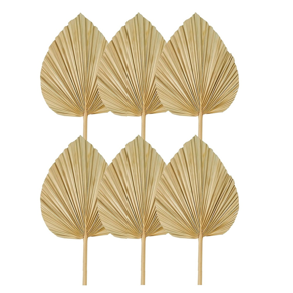 Good 6PCS Dried Palm Leaves Na – обзор и цена Palm Leaf Dried