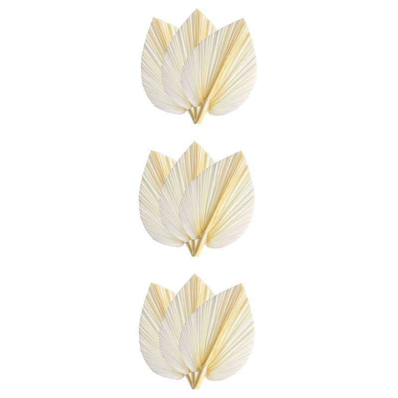 Large White Dried Palm Leaves  – обзор и цена Palm Leaf Dried