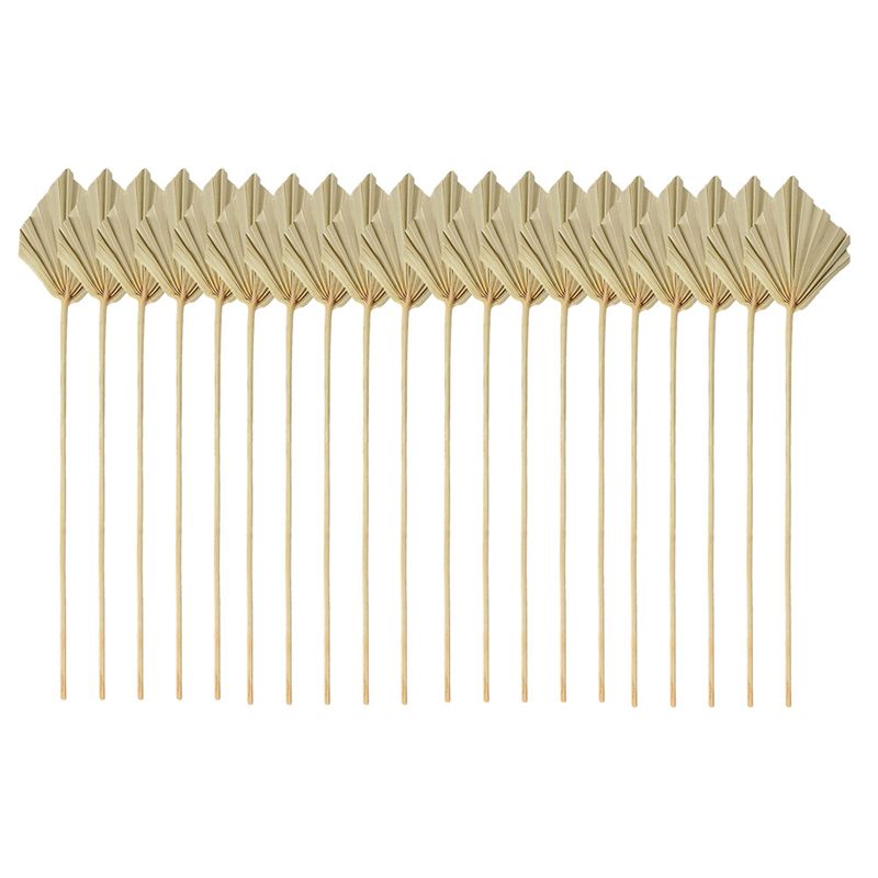 HLZS-Boho Dried Palm Spears Sm – обзор и цена Palm Leaf Dried