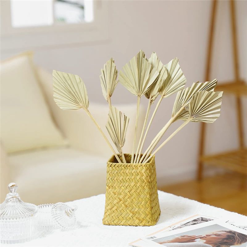 HLZS-Boho Dried Palm Spears Sm – обзор и цена Palm Leaf Dried